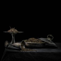 Purchase Holy Scum - All We Have Is Never