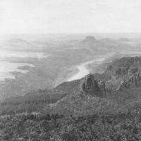 Purchase Sofie Birch - Hidden Terraces