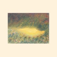 Purchase Sofie Birch - Languoria (Feat. Antonina Nowacka)