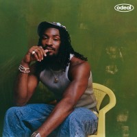 Purchase Odeal - The Summer That Saved Me
