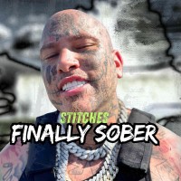 Purchase Stitches - Finally Sober