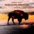 Buy Robert Plant - Saving Grace Mp3 Download