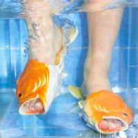 Purchase Brockhoff - Sharks (EP)