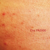 Purchase Ena Pa 2000 - O Album Bronco