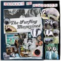 Buy The Surfing Magazines - Badgers Of Wymeswold Mp3 Download