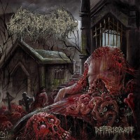 Purchase Gamma Sector - Deteriorate