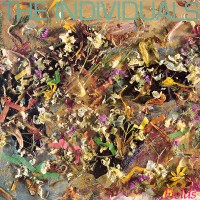 Purchase The Individuals - Fields (Vinyl)