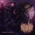 Buy Chains Of Agony - Ephemeral Existence (EP) Mp3 Download