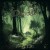 Buy Daridel - Forest Folk Mp3 Download