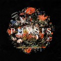 Buy Daykoda - Physis Mp3 Download