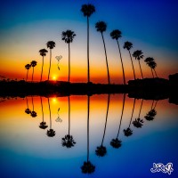 Purchase Jason Reeves - Portals