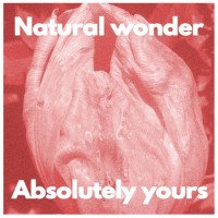 Purchase Absolutely Yours - Natural Wonder