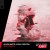 Buy Allen Watts - Shellshock (With Paul Denton) (CDS) Mp3 Download