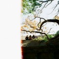 Buy Lamp - 或る夜 (CDS) Mp3 Download