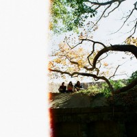 Purchase Lamp - 或る夜 (CDS)