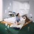 Buy Amaia - Si Abro Los Ojos No Es Real Mp3 Download