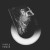 Buy Turtle - Human Mp3 Download