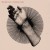 Buy Den Der Hale - Pastoral Light Mp3 Download