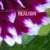 Buy Joe Morris & Elliott Sharp - Realism Mp3 Download