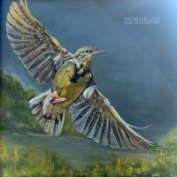 Purchase The Wildwoods - Dear Meadowlark