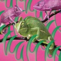 Buy Akai Ko-En (赤い公園) - 消えない (EP) Mp3 Download