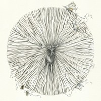 Purchase Danefae - Trøst