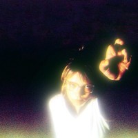 Purchase Lily Seabird - Alas