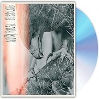 Purchase Author & Punisher - Nocturnal Birding