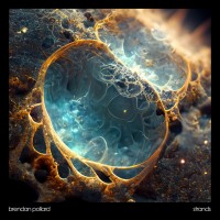 Purchase Brendan Pollard - Strands