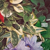 Purchase Elaquent - If Not Now, When?