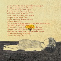 Purchase Hammer Head Shark - 27℃