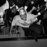 Purchase Dijon - Baby