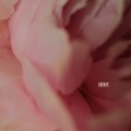 Buy Lewis Capaldi - Survive (CDS) Mp3 Download