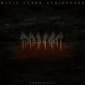 Buy Magic Tuber Stringband - Needlefall Mp3 Download