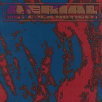 Purchase Not Even Noticed - Aerial