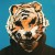 Buy Don Glori - Paper Can't Wrap Fire Mp3 Download