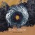 Buy Royal Sorrow - Samsara (EP) Mp3 Download