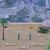 Buy Sea Of Lettuce - Any Day Now Mp3 Download
