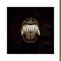 Purchase Amenra - De Toorn