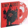 Buy Limp Bizkit - Rock in the Park 2001: The Liquid Mp3 Download