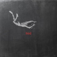 Purchase Low Island - Bird