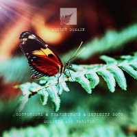Purchase Sotvorishi, Heavenchord & Infinity Dots - Moments Are Forever