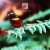 Buy Sotvorishi, Heavenchord & Infinity Dots - Moments Are Forever Mp3 Download