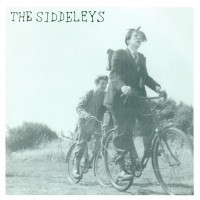 Purchase The Siddeleys - What Went Wrong This Time? (VLS)