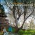 Buy Faun Fables - Counterclockwise Mp3 Download