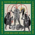 Buy David Shaw And The Beat - Love Songs With A Kick Vol. 1 Mp3 Download