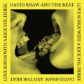 Buy David Shaw And The Beat - Love Songs With A Kick Vol. 3 Mp3 Download