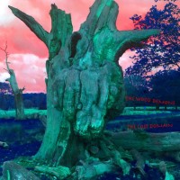 Purchase The Wood Demons - The Lost Domain (EP)