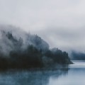 Buy Svlbrd - Perception Mp3 Download