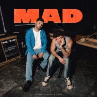 Purchase Martin Garrix - Mad (With Lauv) (CDS)